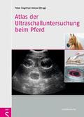 Glatzel |  Atlas der Ultraschalluntersuchung beim Pferd | eBook | Sack Fachmedien