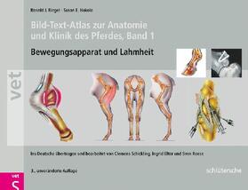 Riegel / Hakola | Bild-Text-Atlas zur Anatomie und Klinik des Pferdes | E-Book | sack.de