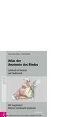 Budras / Wünsche |  Atlas der Anatomie des Rindes | eBook | Sack Fachmedien