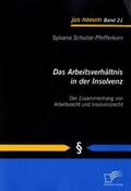 Schulze-Pfefferkorn |  Das Arbeitsverhältnis in der Insolvenz: Der Zusammenhang von Arbeitsrecht und Insolvenzrecht | Buch |  Sack Fachmedien