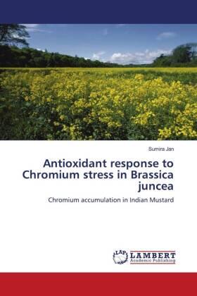 Jan |  Antioxidant response to Chromium stress in Brassica juncea | Buch |  Sack Fachmedien