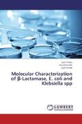Yadav / Kumar |  Molecular Characterization of  -Lactamase, E. coli and Klebsiella spp | Buch |  Sack Fachmedien