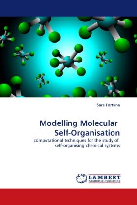 Fortuna |  Modelling Molecular  Self-Organisation | Buch |  Sack Fachmedien
