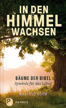 Böhm |  In den Himmel wachsen | Buch |  Sack Fachmedien