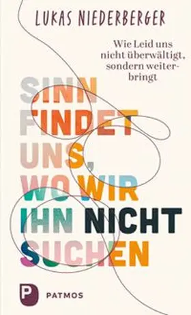 Niederberger |  Sinn findet uns, wo wir ihn nicht suchen | eBook | Sack Fachmedien