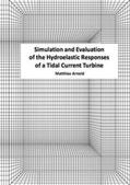 Arnold |  Simulation and Evaluation of the Hydroelastic Responses of a Tidal Current Turbine | Buch |  Sack Fachmedien
