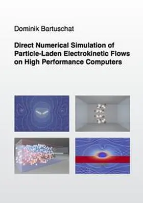 Bartuschat |  Direct Numerical Simulation of Particle-Laden Electrokinetic Flows on High Performance Computers | Buch |  Sack Fachmedien