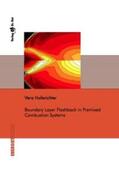 Hoferichter |  Boundary Layer Flashback in Premixed Combustion Systems | Buch |  Sack Fachmedien
