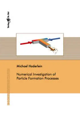 Haderlein |  Numerical Investigation of Particle Formation Processes | Buch |  Sack Fachmedien