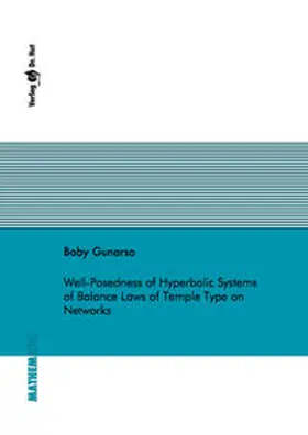 Gunarso |  Well-Posedness of Hyperbolic Systems of Balance Laws of Temple Type on Networks | Buch |  Sack Fachmedien