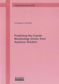 Schmidt |  Predicting the Crystal Morphology Grown from Aqueous Solution | Buch |  Sack Fachmedien