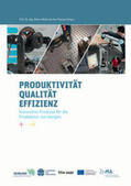 Müller / Flackus |  Produktivität – Qualität – Effizienz | Buch |  Sack Fachmedien