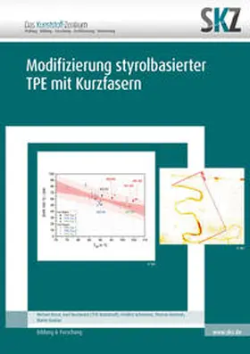 SKZ – Das Kunststoff-Zentrum / Achereiner / Bastian |  Modifizierung von styrolbasierten TPE mit Kurzfasern | Buch |  Sack Fachmedien