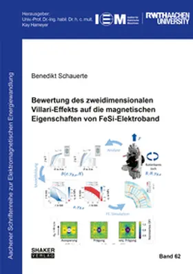 Schauerte |  Bewertung des zweidimensionalen Villari-Effekts auf die magnetischen Eigenschaften von FeSi-Elektroband | Buch |  Sack Fachmedien