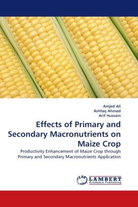 Ali / Ahmad / Hussain |  Effects of Primary and Secondary Macronutrients on Maize Crop | Buch |  Sack Fachmedien
