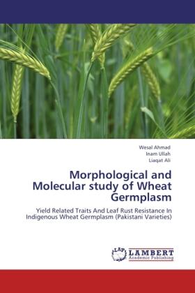 Ahmad / Ullah / Ali |  Morphological and Molecular study of Wheat Germplasm | Buch |  Sack Fachmedien