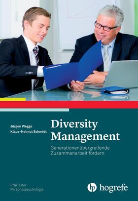 Schmidt / Wegge |  Diversity Management | eBook | Sack Fachmedien