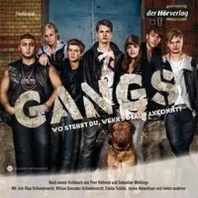 Wehlings / Klehmet |  Gangs (Filmhörspiel) | Sonstiges |  Sack Fachmedien