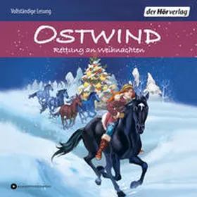 Schwarz |  Ostwind - Rettung an Weihnachten | Sonstiges |  Sack Fachmedien