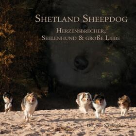 Steuerwald |  Shetland Sheepdog - Herzensbrecher, Seelenhund und große Liebe | Buch |  Sack Fachmedien