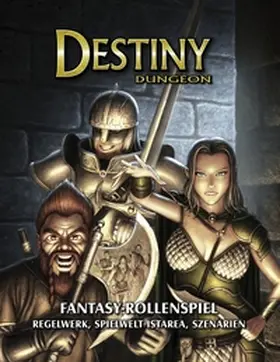 Schiebel |  Destiny Dungeon | Buch |  Sack Fachmedien