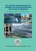 Kynard / Bronzi / Rosenthal |  Life History and Behaviour of Connecticut River Shortnose and Other Sturgeons | Buch |  Sack Fachmedien