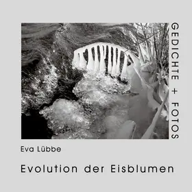 Lübbe |  Evolution der Eisblumen | eBook | Sack Fachmedien