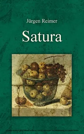 Reimer |  Satura | eBook | Sack Fachmedien