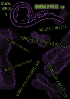 Storch |  Cat-Toons 1 | eBook | Sack Fachmedien