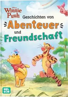 Schmidt |  Disney Winnie Puuh: Geschichten von Abenteuer und Freundschaft | Buch |  Sack Fachmedien