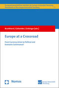 Brunkhorst / Gaitanides / Grözinger |  Europe at a Crossroad | eBook | Sack Fachmedien