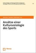 Brümmer / Janetzko / Alkemeyer |  Ansätze einer Kultursoziologie des Sports | eBook | Sack Fachmedien