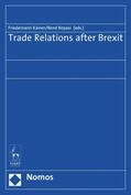 Kainer / Repasi |  Trade Relations after Brexit | eBook | Sack Fachmedien