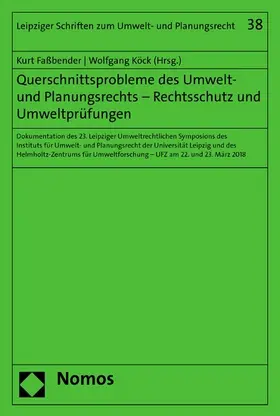 Faßbender / Köck |  Querschnittsprobleme des Umwelt- und Planungsrechts - Rechtsschutz und Umweltprüfungen | eBook | Sack Fachmedien