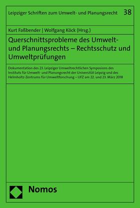 Faßbender / Köck | Querschnittsprobleme des Umwelt- und Planungsrechts - Rechtsschutz und Umweltprüfungen | E-Book | sack.de