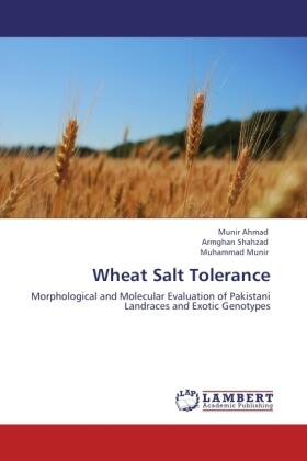 Ahmad / Shahzad / Munir | Wheat Salt Tolerance | Buch | 978-3-8454-1417-1 | sack.de