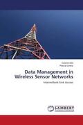 Dini / Lorenz |  Data Management in Wireless Sensor Networks | Buch |  Sack Fachmedien