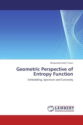 Tiwari |  Geometric Perspective of Entropy Function | Buch |  Sack Fachmedien