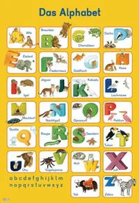  Mein Lernposter: Das Alphabet | Buch |  Sack Fachmedien