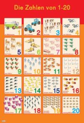  Mein Lernposter: Erste Zahlen 1-20 | Buch |  Sack Fachmedien