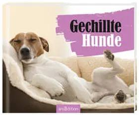 Vennebusch |  Gechillte Hunde | Buch |  Sack Fachmedien