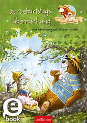 Walko |  Hase und Holunderbär - Die Geburtstagsüberraschung | eBook | Sack Fachmedien