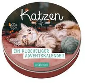  Adventskalender in der Dose. Katzen | Buch |  Sack Fachmedien
