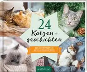  24 Katzengeschichten | Buch |  Sack Fachmedien