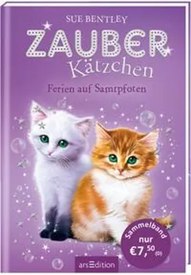 Bentley |  Zauberkätzchen – Ferien auf Samtpfoten | Buch |  Sack Fachmedien