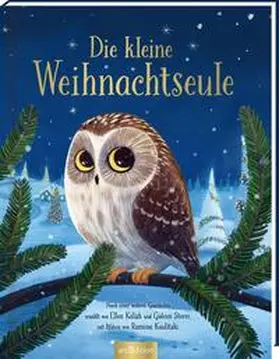 Kalish / Sterer |  Die kleine Weihnachtseule | Buch |  Sack Fachmedien