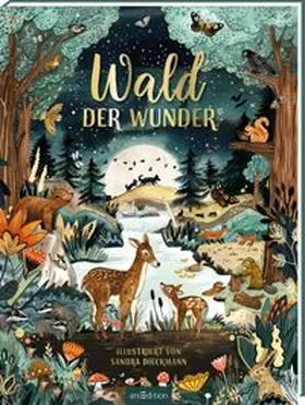  Wald der Wunder | Buch |  Sack Fachmedien