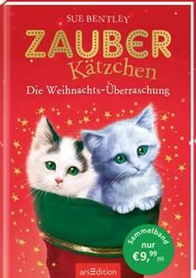 Bentley |  Zauberkätzchen - Die Weihnachts-Überraschung | Buch |  Sack Fachmedien