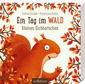 Ein Tag im Wald: Kleines Eichhörnchen | Buch | 978-3-8458-5524-0 | www.sack.de