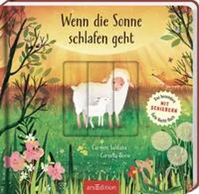 Boese |  Wenn die Sonne schlafen geht | Buch |  Sack Fachmedien